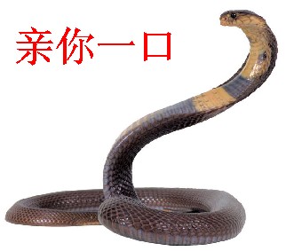 昨晚，我怕了~~71 / 作者:晴晴 / 帖子ID:1608