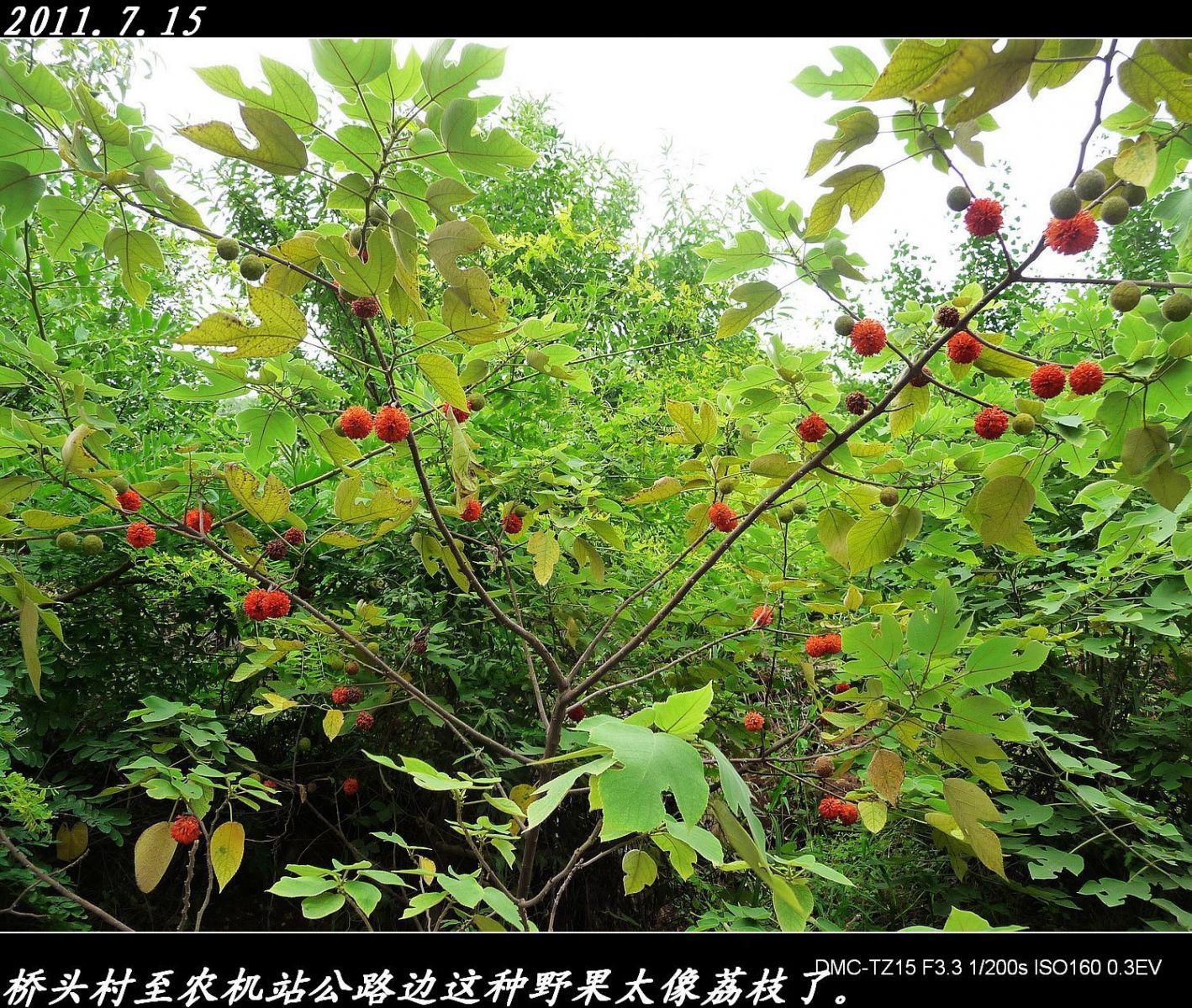绕县城一圈游览的风景909 / 作者:平安大叔 / 帖子ID:1864