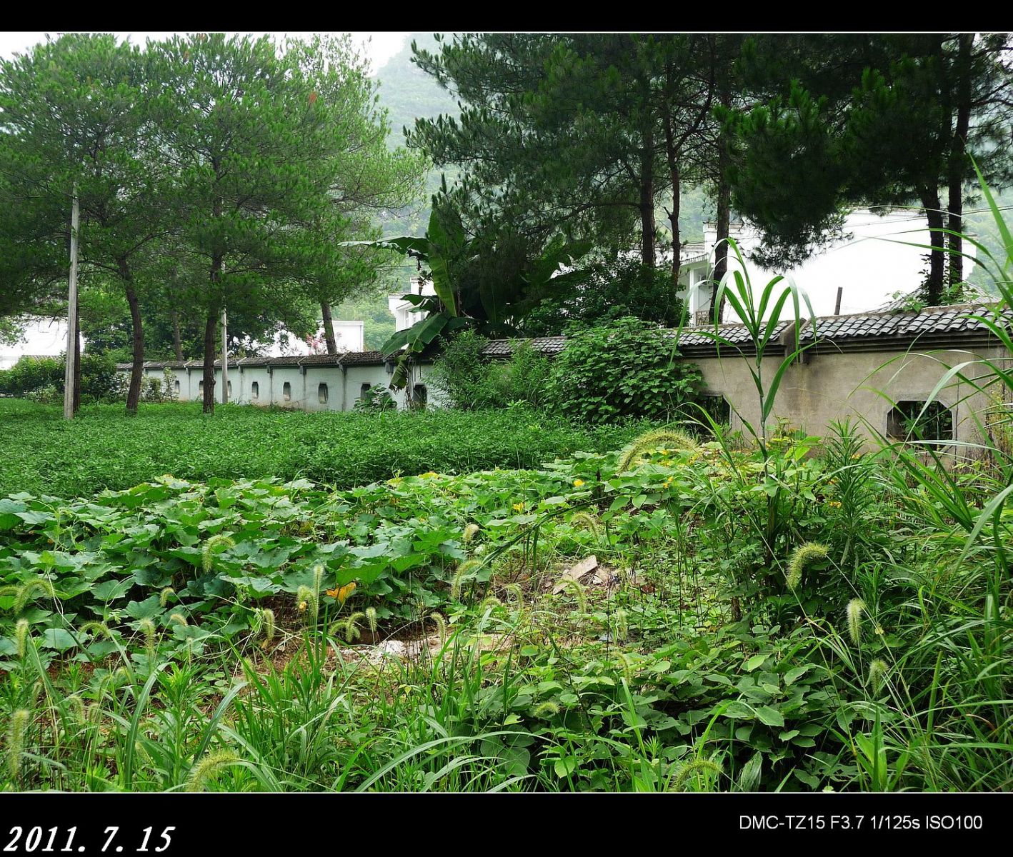 绕县城一圈游览的风景603 / 作者:平安大叔 / 帖子ID:1864