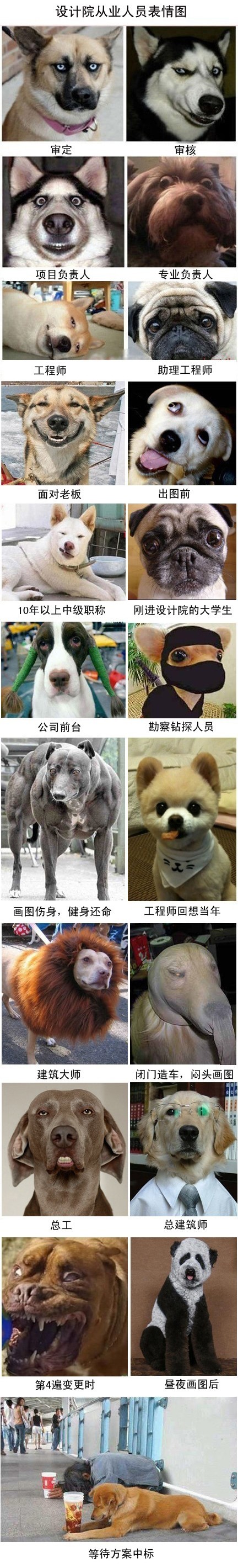 心情如此一般780 / 作者:小昆 / 帖子ID:1884