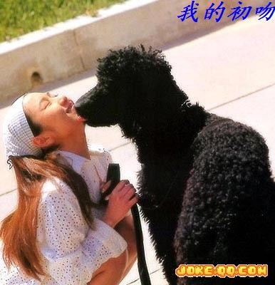 几幅动物趣图&lt;帖图&gt;335 / 作者:平安大叔 / 帖子ID:2095