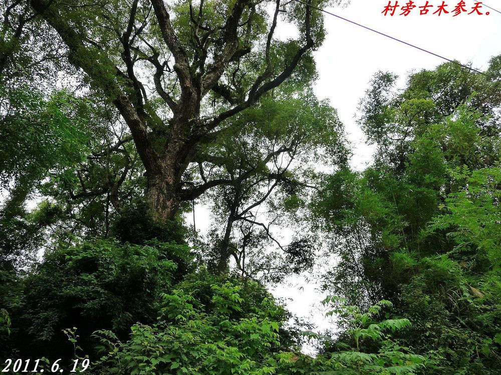 一个集红色旅游、观古民居、古牌坊的好去处132 / 作者:平安大叔 / 帖子ID:2108