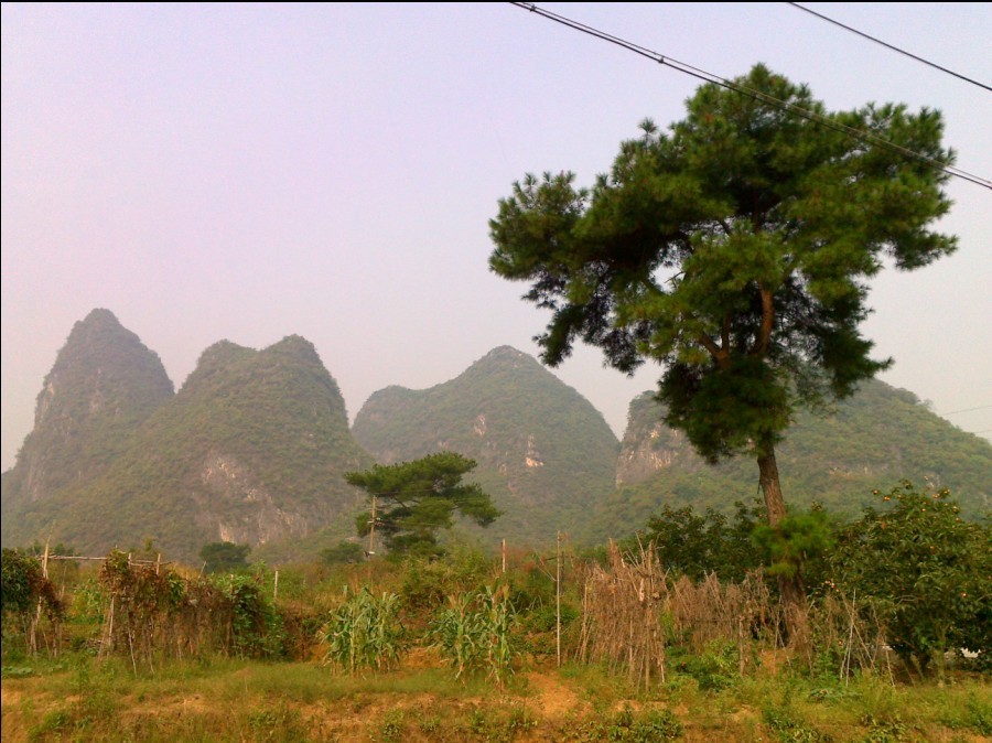 社山风景，现在貌似里面萧条了470 / 作者:少年包工头 / 帖子ID:2178