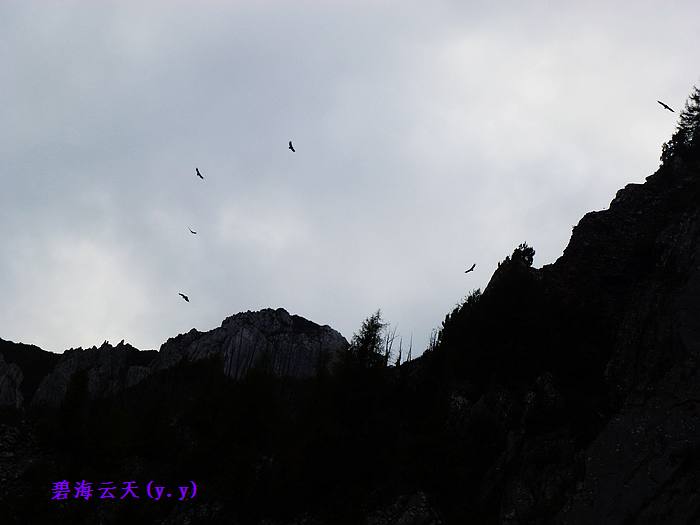 魅力七藏沟，七驴梦幻旅466 / 作者:y.y / 帖子ID:1897
