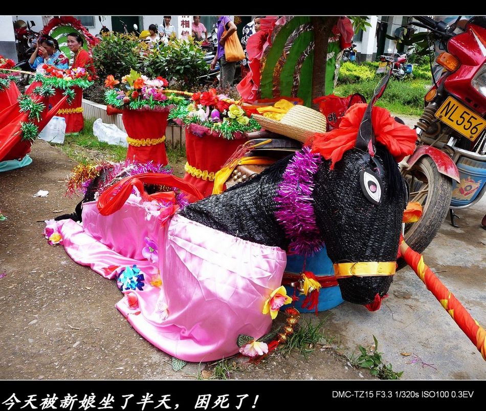 婆王节活动镜头&lt;好耍、下届又去！&gt;766 / 作者:平安大叔 / 帖子ID:2213