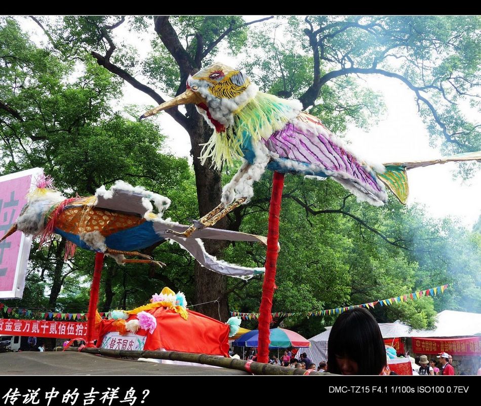 婆王节活动镜头&lt;好耍、下届又去！&gt;665 / 作者:平安大叔 / 帖子ID:2213