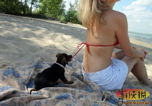 网络囧图316 / 作者:火星娃崽 / 帖子ID:2245