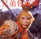 快来看，猴子试猴子与八戒349 / 作者:孤星泪 / 帖子ID:2271