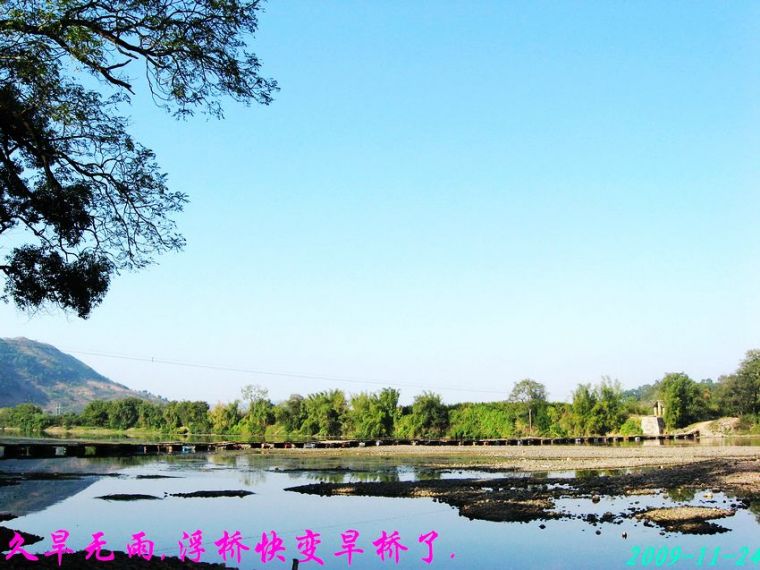 怀念乐湾的浮桥287 / 作者:平安大叔 / 帖子ID:2292