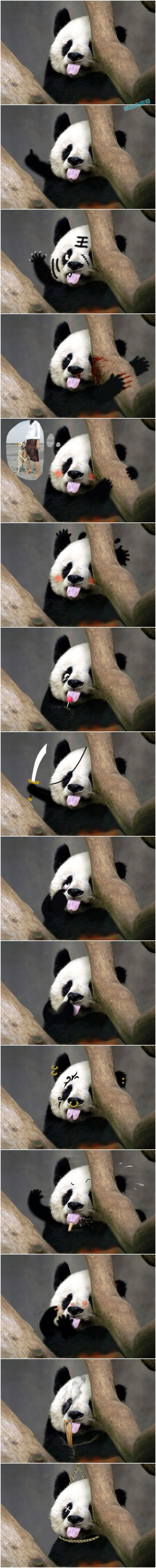 一张挺萌的熊猫照片引发的恶搞808 / 作者:好孩子 / 帖子ID:2417