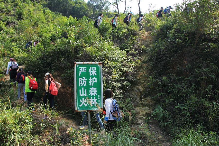那片芦苇海……娟子户外游记674 / 作者:娟子 / 帖子ID:2510