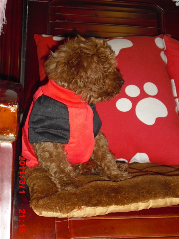 宝宝和贝贝,好想它们啊!817 / 作者:龙猫猫猫 / 帖子ID:2528