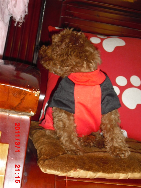 宝宝和贝贝,好想它们啊!926 / 作者:龙猫猫猫 / 帖子ID:2528