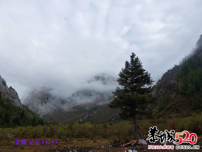 魅力七藏沟，七驴梦幻旅897 / 作者:y.y / 帖子ID:1897