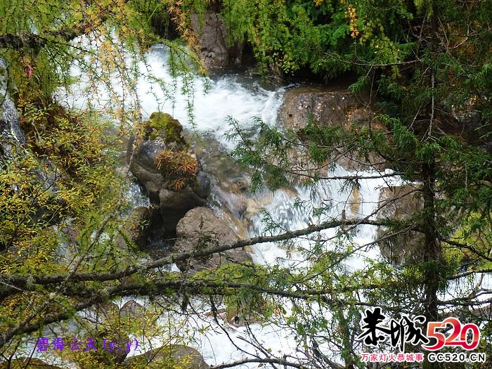 魅力七藏沟，七驴梦幻旅947 / 作者:y.y / 帖子ID:1897