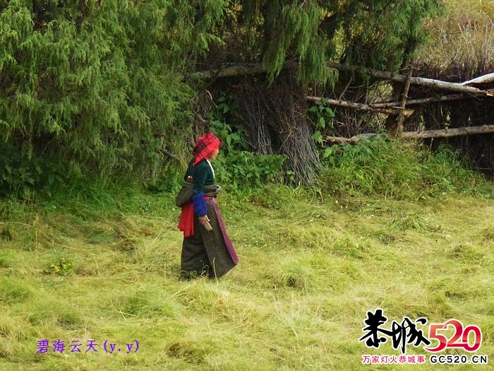 魅力七藏沟，七驴梦幻旅219 / 作者:y.y / 帖子ID:1897