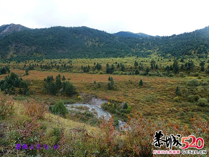 魅力七藏沟，七驴梦幻旅1000 / 作者:y.y / 帖子ID:1897