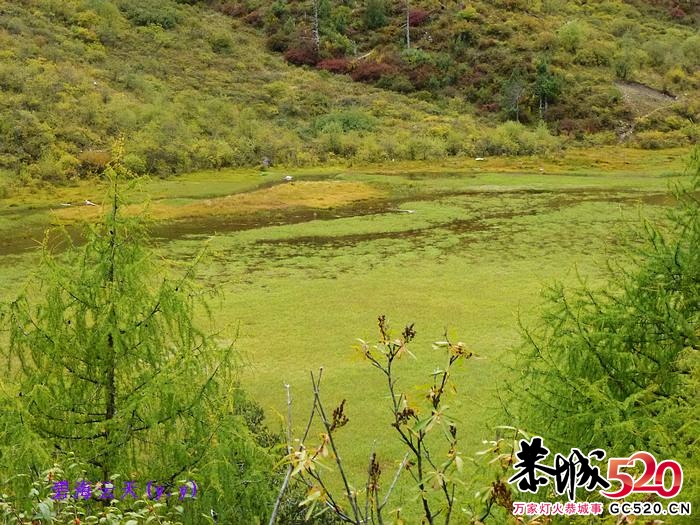 魅力七藏沟，七驴梦幻旅891 / 作者:y.y / 帖子ID:1897