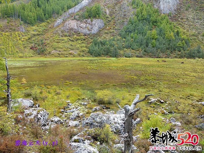 魅力七藏沟，七驴梦幻旅683 / 作者:y.y / 帖子ID:1897