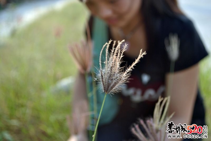 新手单反试拍～多多指教～362 / 作者:娟子 / 帖子ID:2669