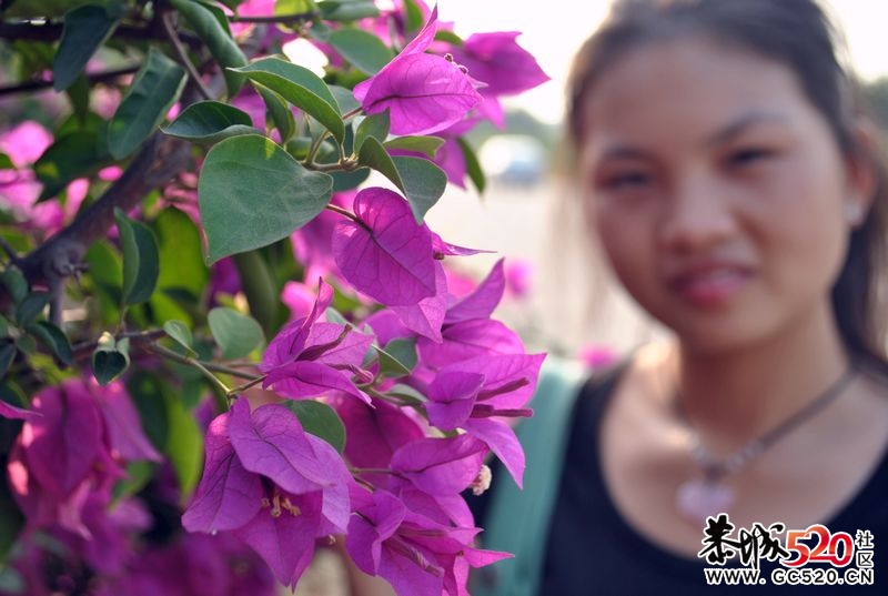 新手单反试拍～多多指教～435 / 作者:娟子 / 帖子ID:2669