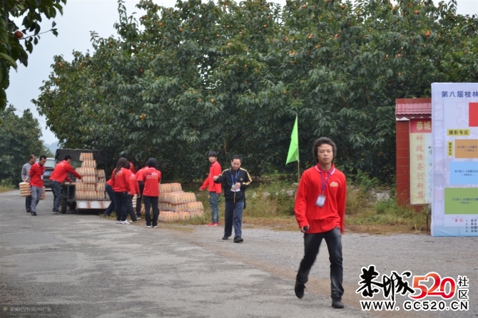 月柿节上默默奉献的他们~~~~~~~713 / 作者:社区小编 / 帖子ID:2795