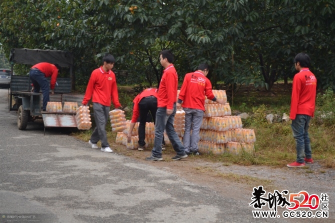 月柿节上默默奉献的他们~~~~~~~505 / 作者:社区小编 / 帖子ID:2795