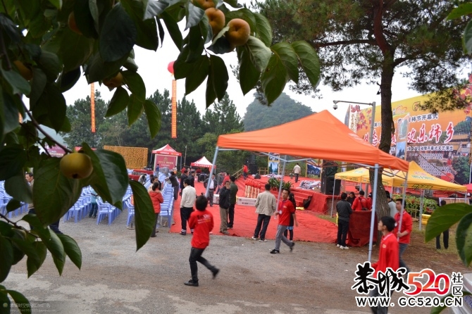 月柿节上默默奉献的他们~~~~~~~801 / 作者:社区小编 / 帖子ID:2795