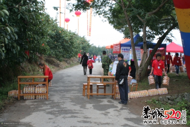 月柿节上默默奉献的他们~~~~~~~308 / 作者:社区小编 / 帖子ID:2795