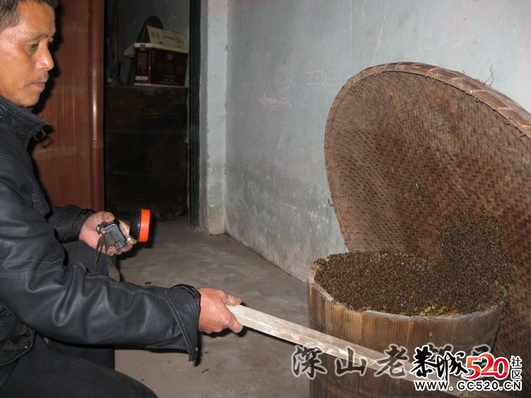 深山老林农民采土蜂蜜全过程！541 / 作者:鹤舞狂天 / 帖子ID:3002