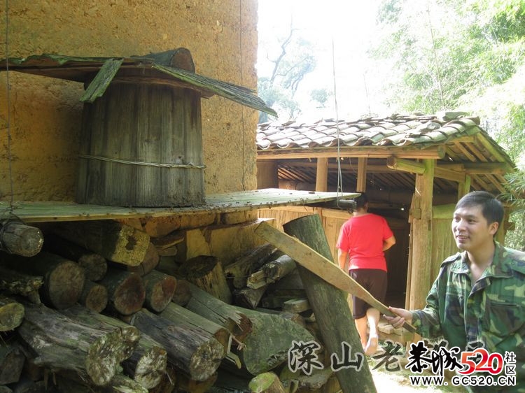 深山老林农民采土蜂蜜全过程！499 / 作者:鹤舞狂天 / 帖子ID:3002