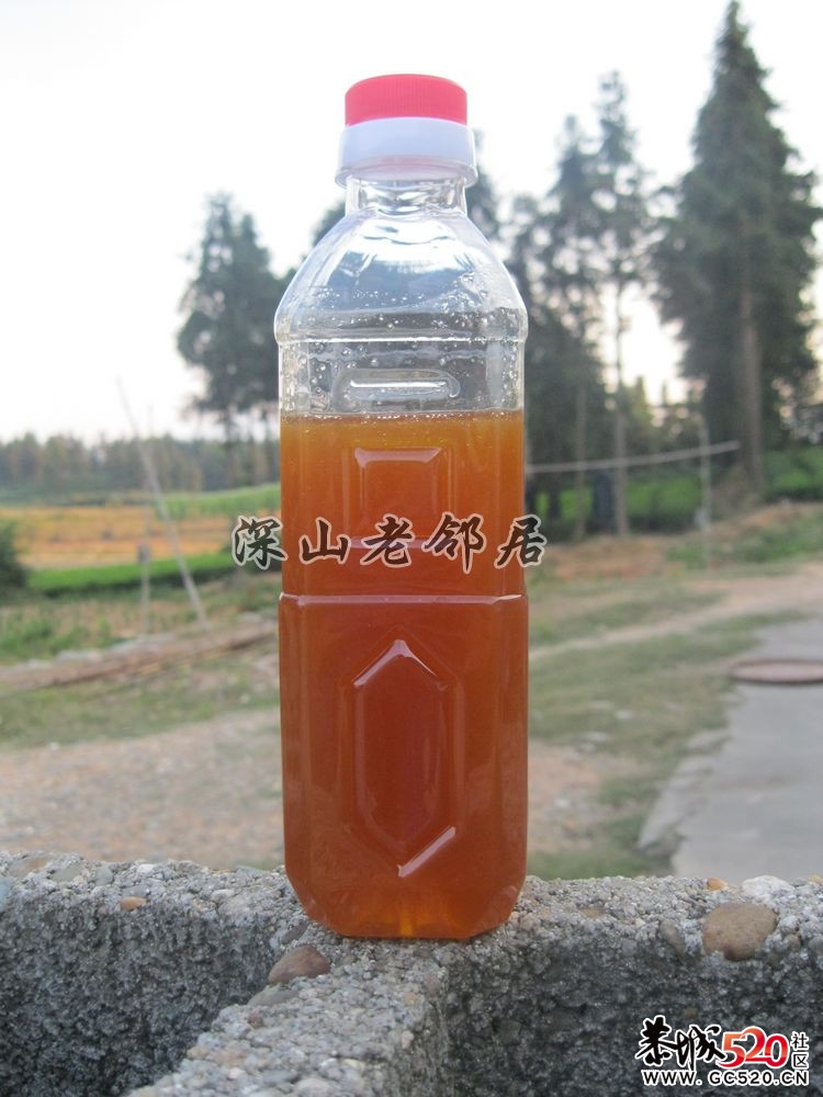 深山老林农民采土蜂蜜全过程！394 / 作者:鹤舞狂天 / 帖子ID:3002