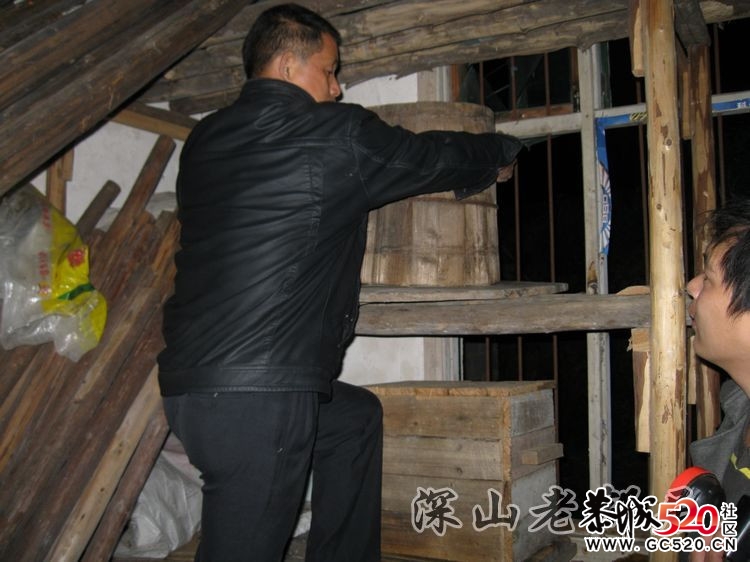深山老林农民采土蜂蜜全过程！628 / 作者:鹤舞狂天 / 帖子ID:3002