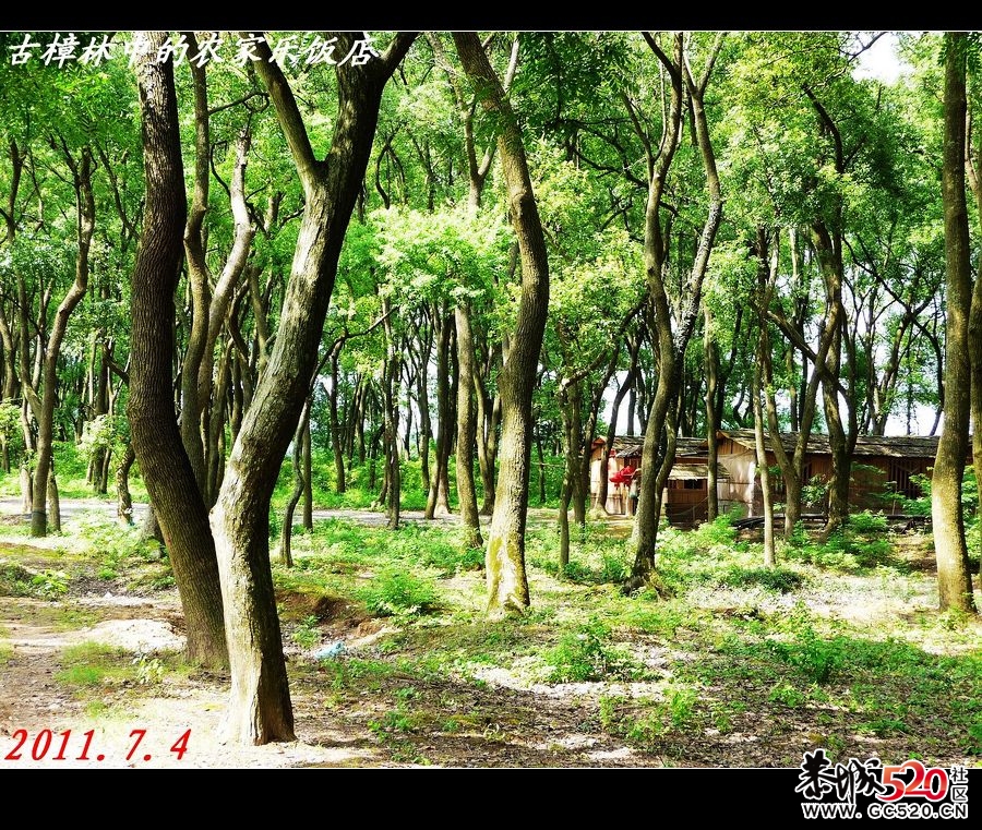 一个适合野炊、钓鱼、摄影的好地方！952 / 作者:平安大叔 / 帖子ID:3037