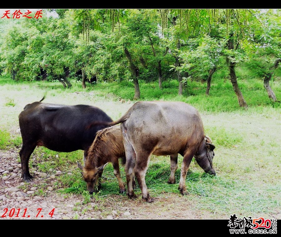一个适合野炊、钓鱼、摄影的好地方！912 / 作者:平安大叔 / 帖子ID:3037