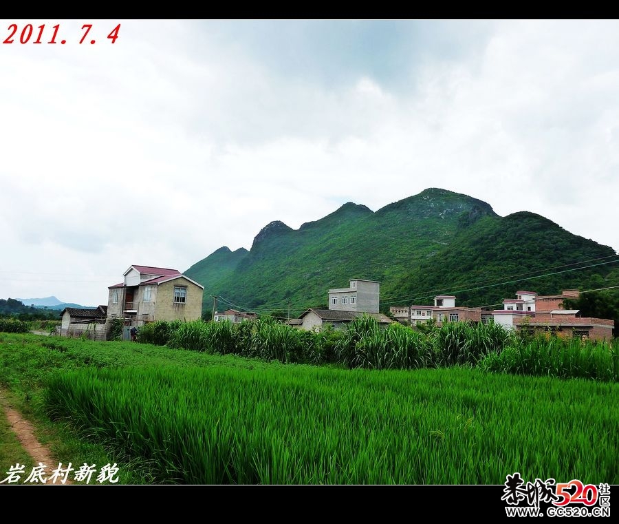 一个适合野炊、钓鱼、摄影的好地方！740 / 作者:平安大叔 / 帖子ID:3037