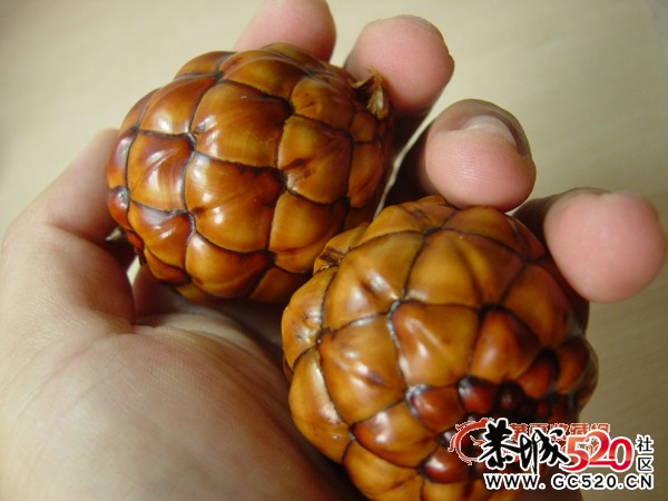 【求解】这是什么东西，生长在什么地方，有谁知道？ ？880 / 作者:排散 / 帖子ID:3179