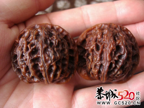 【求解】这是什么东西，生长在什么地方，有谁知道？ ？252 / 作者:排散 / 帖子ID:3179