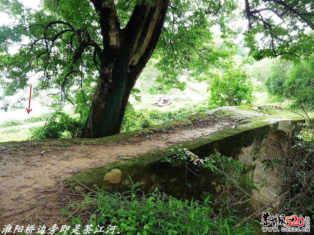 县城边一个藏而不露的古桥：淮阳桥。178 / 作者:平安大叔 / 帖子ID:3456