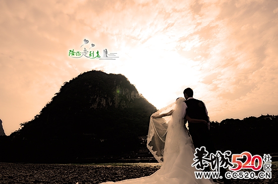 T&amp;L309 / 作者:幸福公社 / 帖子ID:3539