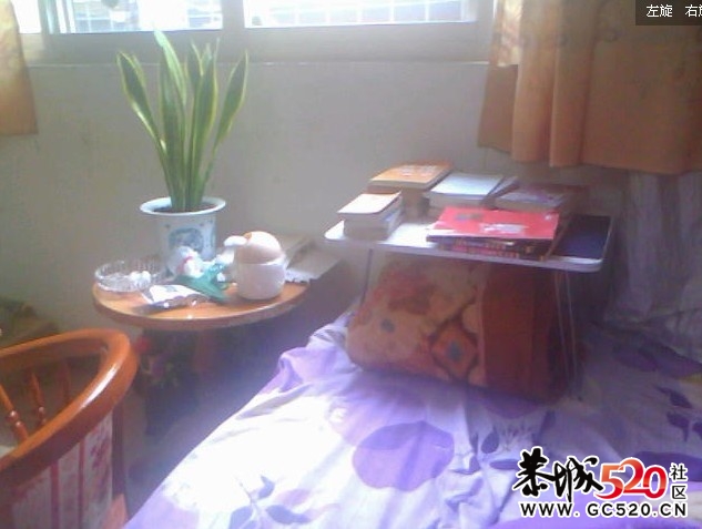当年，一个人在外面住了3年...我好怀念啊......292 / 作者:小紫 / 帖子ID:3670