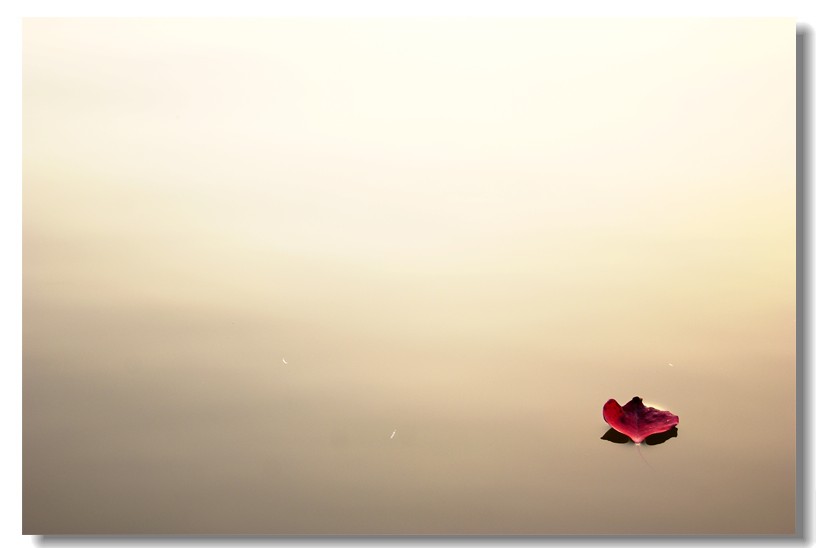 流浪的梦312 / 作者:195 / 帖子ID:3702