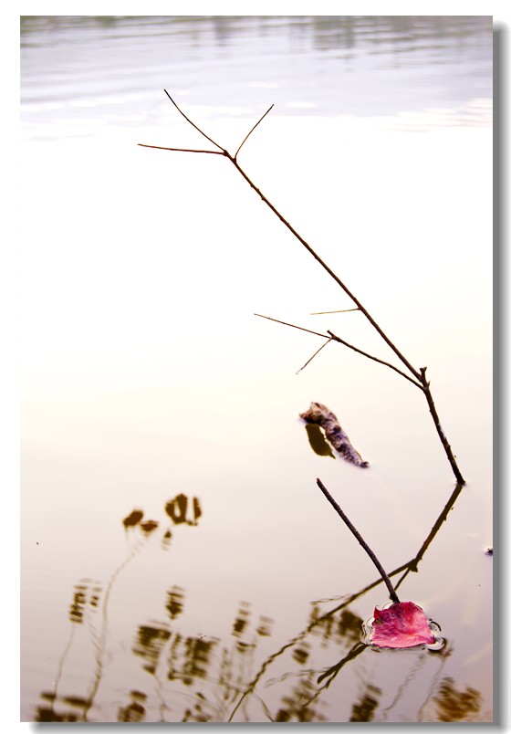 流浪的梦508 / 作者:195 / 帖子ID:3702