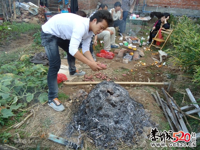 回忆那童年的窑崽告///////682 / 作者:成 成 / 帖子ID:3827