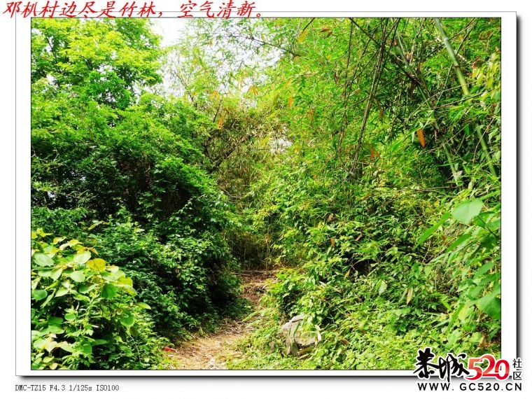 邓朳：一个古老而有活力的新农村11 / 作者:平安大叔 / 帖子ID:4080
