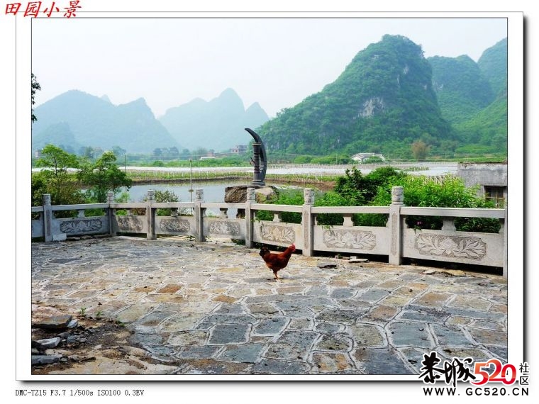 邓朳：一个古老而有活力的新农村32 / 作者:平安大叔 / 帖子ID:4080