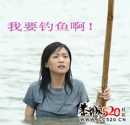 今天克钓鱼114 / 作者:小鱼仔仔 / 帖子ID:1402