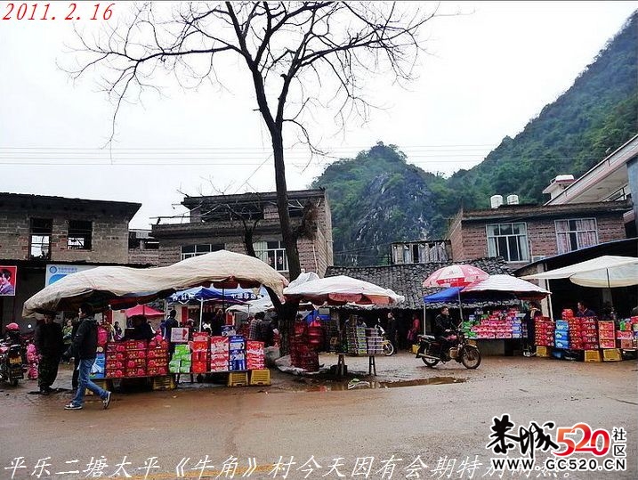 回忆去平乐二塘太平村看庙会833 / 作者:平安大叔 / 帖子ID:4156