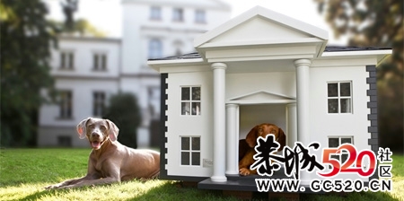 大家进来乐呵乐呵，看看各种萌人的狗狗(*^__^*)248 / 作者:湮丶花祭 / 帖子ID:4381