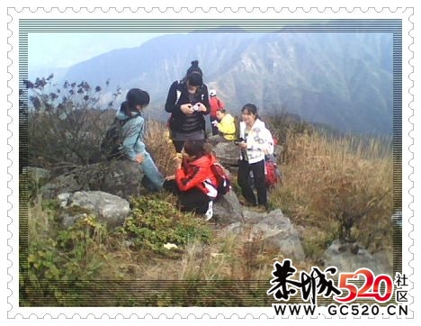 11月26日登峰银殿山~！147 / 作者:牛鼻子 / 帖子ID:4626